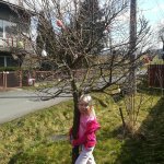 phoca_thumb_m_r.p. 14 Fotogalerie